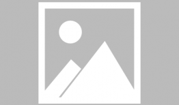 91ididcon直播,精彩瞬间回顾，科技盛宴不容错过