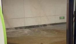 韩国纯爱漫画免费,韩国纯爱漫画的浪漫之旅