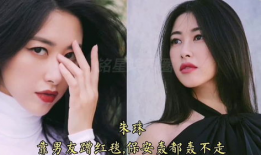 娱乐圈吃瓜女明星小说,瓜田里的璀璨星光